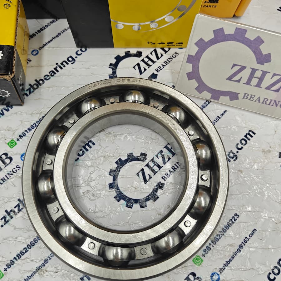Bearing Supplier 06000-06216